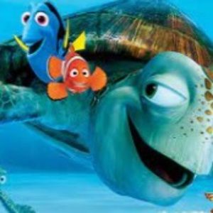 Meet your Posher, Lia